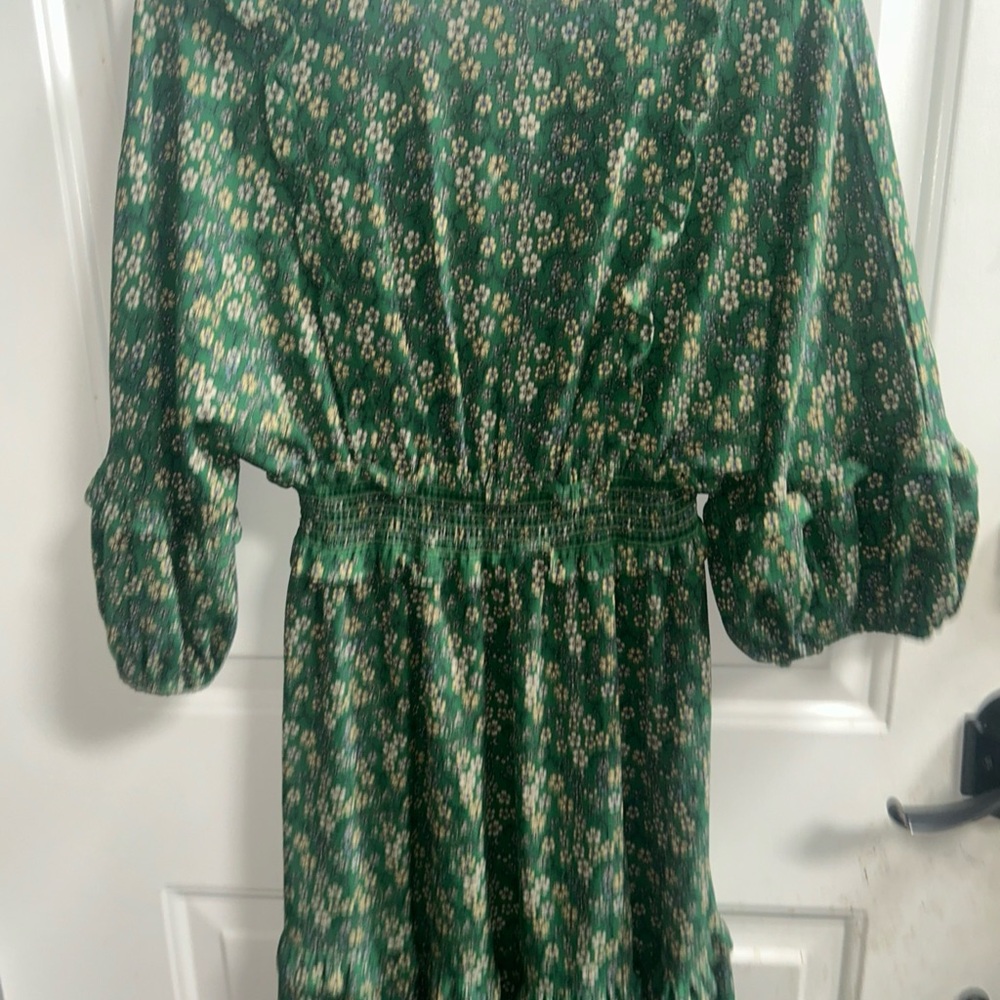 Max Studio Green Sundress with Bishop Sleeves - Picture 15 of 16